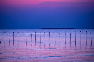 paesaggio di gabbiani che volano durante il tramonto la sera. foto