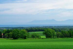 estate a hokkaido con campi di erba di grano verde natura e montagna shiretoko. foto