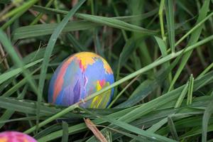uova di Pasqua in erba verde. messa a fuoco selettiva. foto