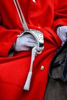 Londra, Regno Unito, 2013. bagnino della cavalleria domestica delle regine foto