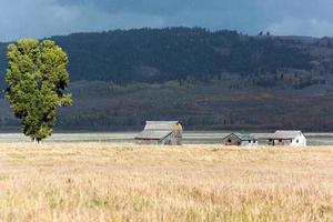 jackson, wyoming, usa, 2013. vista della fila mormone foto