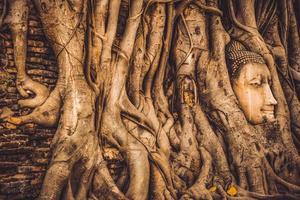 rovine della tailandia e oggetti d'antiquariato al parco storico di ayutthaya turisti provenienti da tutto il mondo decadimento del buddha foto