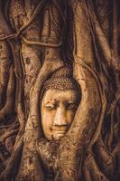 rovine della tailandia e oggetti d'antiquariato al parco storico di ayutthaya turisti provenienti da tutto il mondo decadimento del buddha foto