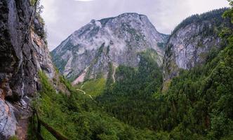 magnifica vista sulle alpi foto