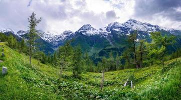 magnifica vista sulle alpi foto