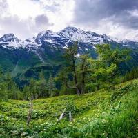 magnifica vista sulle alpi foto