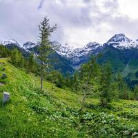 magnifica vista sulle alpi foto