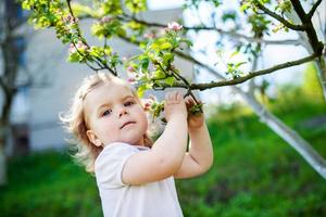 bambino agli alberi in fiore foto