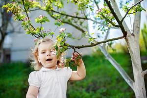 bambino agli alberi in fiore foto
