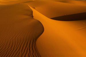 bellissime dune di sabbia nel deserto del Sahara in Marocco. paesaggio in africa nel deserto. foto