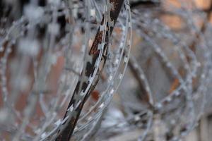 primo piano di filo spinato sulla sommità del muro di confine della prigione foto