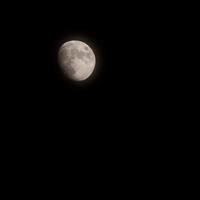 timelapse di luna, lasso di tempo stock luna piena sorge nel cielo di natura oscura, notte. lasso di tempo del disco di luna piena con la luna che si illumina nel cielo nero scuro di notte. riprese video o timelapse gratuiti di alta qualità foto