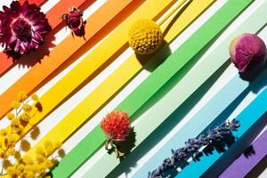 sfondo a strisce di carta color arcobaleno con fiori multicolori secchi foto