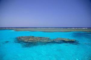 bellissima barriera corallina in egitto foto