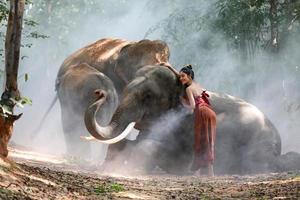 thailandia campagna silhouette elefante sullo sfondo del tramonto, elefante tailandese in surin thailand. foto