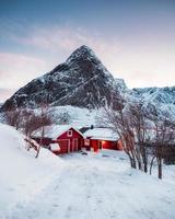 casa rossa con albero secco in montagna in inverno foto