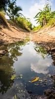 canale con livello dell'acqua basso a causa della siccità foto