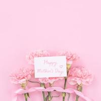 bouquet di fiori di garofano bello, fresco ed elegante con biglietto regalo di ringraziamento bianco isolato su sfondo di colore rosa brillante, vista dall'alto, concetto piatto. foto