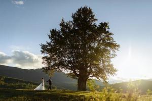 bellissimi sposi in montagna foto