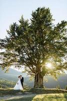 bellissimi sposi in montagna foto