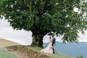 bellissimi sposi che si baciano e si abbracciano vicino alla riva di un fiume di montagna con pietre foto