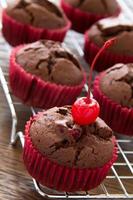 muffin al cioccolato con ciliegia.