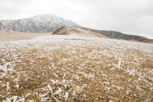 paesaggio di minamiaso - kumamoto, giappone foto