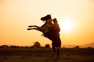 cowboy a cavallo contro un bel tramonto, cowboy e cavallo alle prime luci, montagna, fiume e stile di vita con sfondo di luce naturale foto