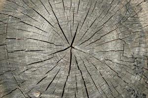 struttura di legno naturale. foto