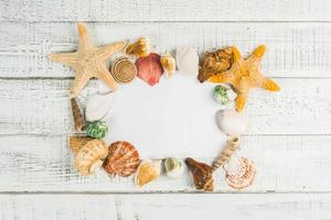 crostacei di mare su fondo di legno bianco foto