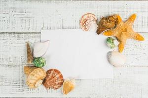 crostacei di mare su fondo di legno bianco foto