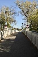 un ponte pedonale in un parco foto