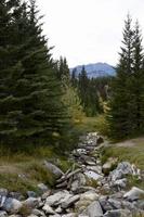 un ruscello di montagna in secca foto