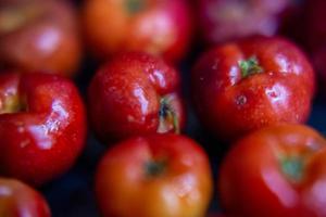 pomodoro frutta acerola foto