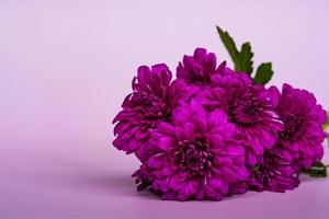 concetto di design del design di auguri per le vacanze della festa della mamma con bouquet di fiori. foto