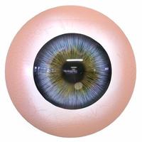 oggetto di rendering 3d bulbo oculare umano blu foto