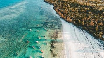 spiaggia di muyuni, isola di zanzibar, tanzania foto