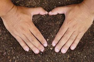 terreno fertile viene utilizzato per la coltivazione di piante nelle mani dell'uomo. foto