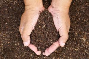 terreno fertile viene utilizzato per la coltivazione di piante nelle mani dell'uomo. foto