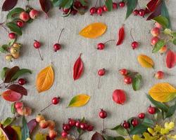 sfondo autunnale di bacche, piccole mele selvatiche, ghiande e foglie su sfondo tessile di lino foto