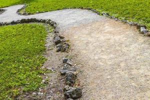 giungla tropicale piante alberi sentieri per passeggiate rovine maya di muyil messico. foto