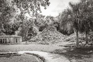 antico sito maya con rovine di templi piramidi manufatti muyil messico. foto