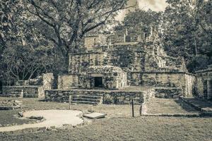 antico sito maya con rovine di templi piramidi manufatti muyil messico. foto