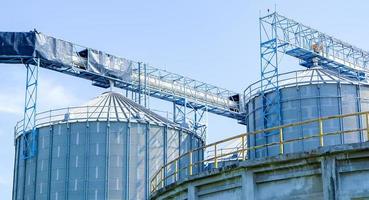 grandi serbatoi industriali per benzina e olio con cielo blu. serbatoi di carburante presso la tank farm. scale di metallo sul lato di un contenitore industriale dell'olio. scala su grande serbatoio carburante foto