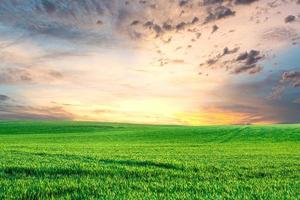 un grande prato sullo sfondo è il cielo. concetto di immagine di sfondo della natura foto