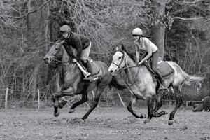 ashurstwood, west sussex, regno unito, 2011. equitazione foto