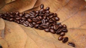 chicchi di caffè su foglie di teak secche, sfondo di foglie di teak marrone foto
