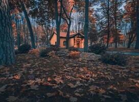 favolosa casa magica tra gli alberi nel parco autunnale foto