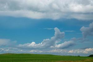 terreni agricoli e colture di colza, saskatchewan, canada. foto