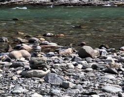 ruscello calmo dal lato di una sponda rocciosa di un fiume foto